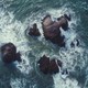 Dynamic aerial view of ocean waves crashing against rocky structures, captured from above.